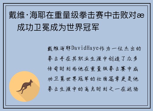 戴维·海耶在重量级拳击赛中击败对手成功卫冕成为世界冠军 戴维·海耶在重量级拳击赛中击败对手成功卫冕成为世界冠军