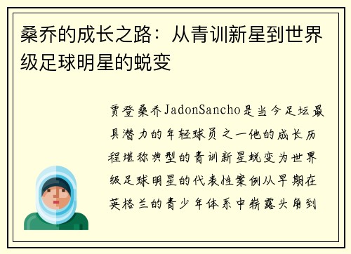 桑乔的成长之路：从青训新星到世界级足球明星的蜕变
