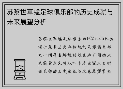 苏黎世草蜢足球俱乐部的历史成就与未来展望分析