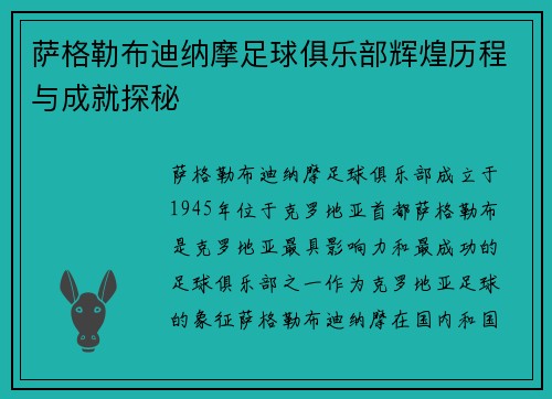 萨格勒布迪纳摩足球俱乐部辉煌历程与成就探秘