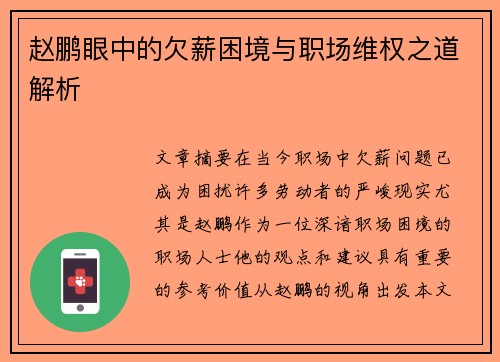 赵鹏眼中的欠薪困境与职场维权之道解析